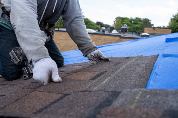 Best New Roof Installation  in Adrian, MO