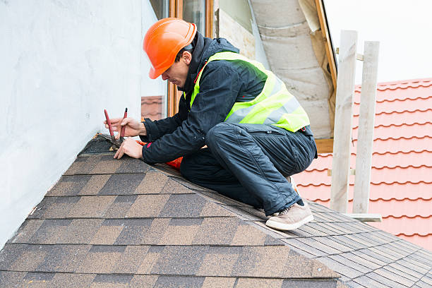 Best Roof Gutter Cleaning  in Adrian, MO